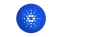 Cardano