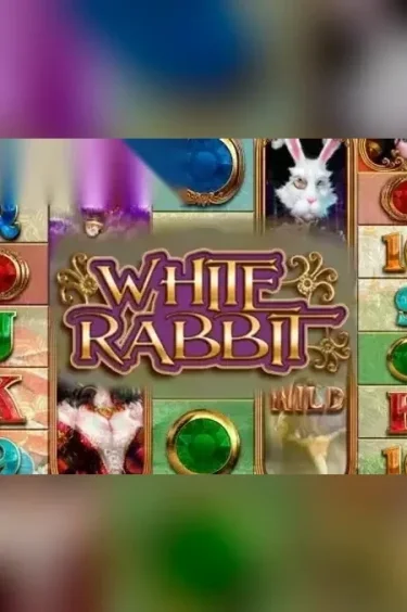 White Rabbit