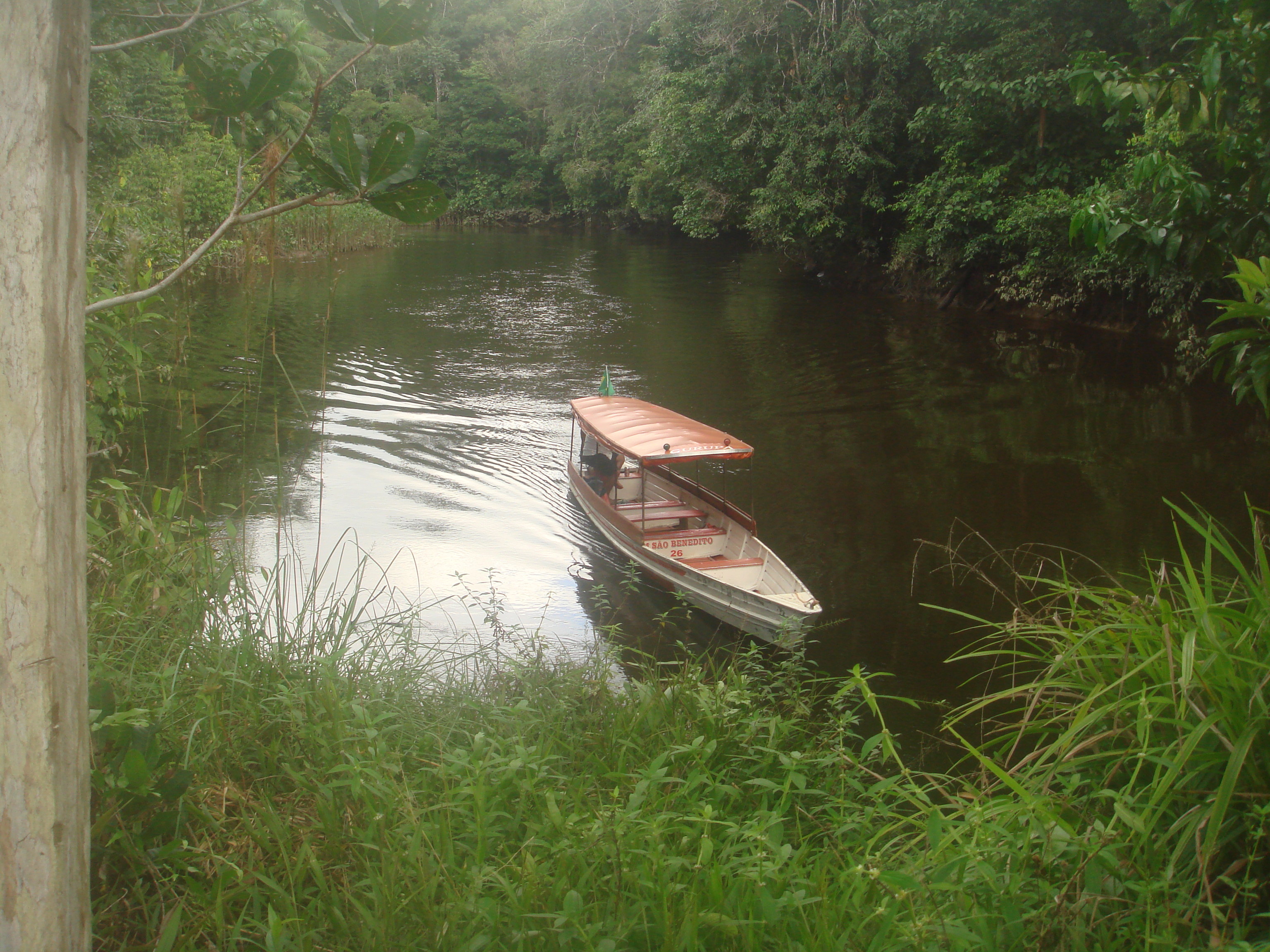 Amazonie brésilienne. ©diogenedarc2005